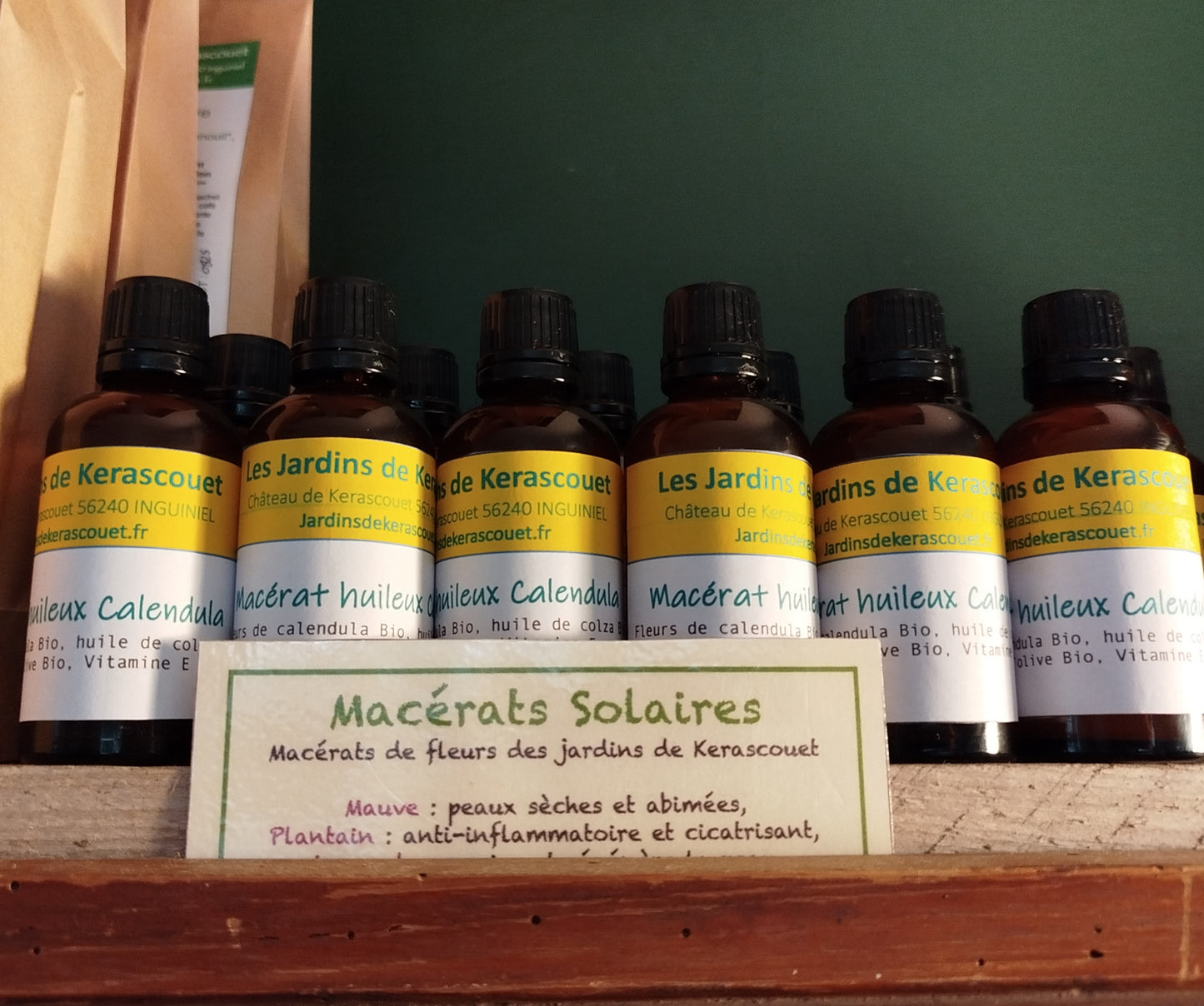 Macérât huileux de Calendula